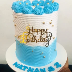 Birthday Cake 33