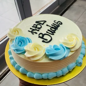 Birthday Cake 6