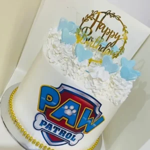 Kids Character Cake 8