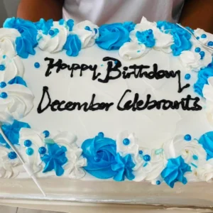 Sheet Cake 4